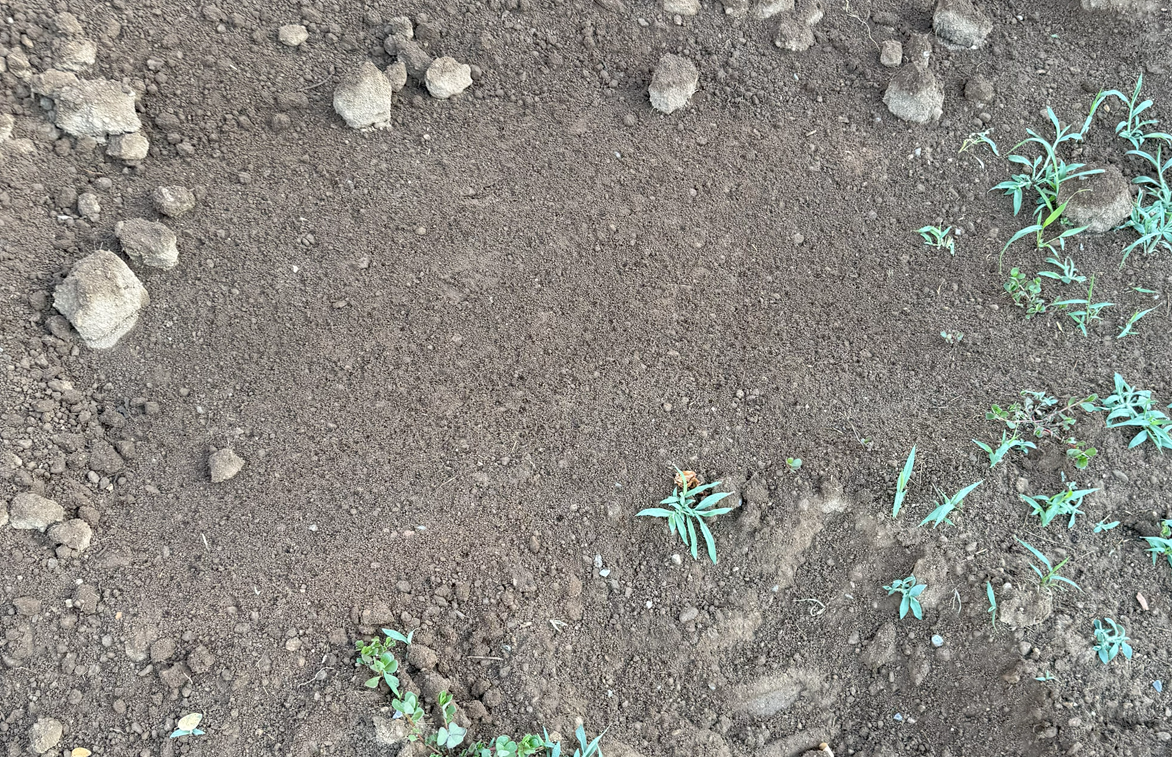 TERRE VEGETALE CRIBLEE - Gravillon-Ardèche