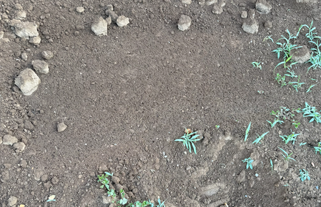 TERRE VEGETALE CRIBLEE - Gravillon-Ardèche